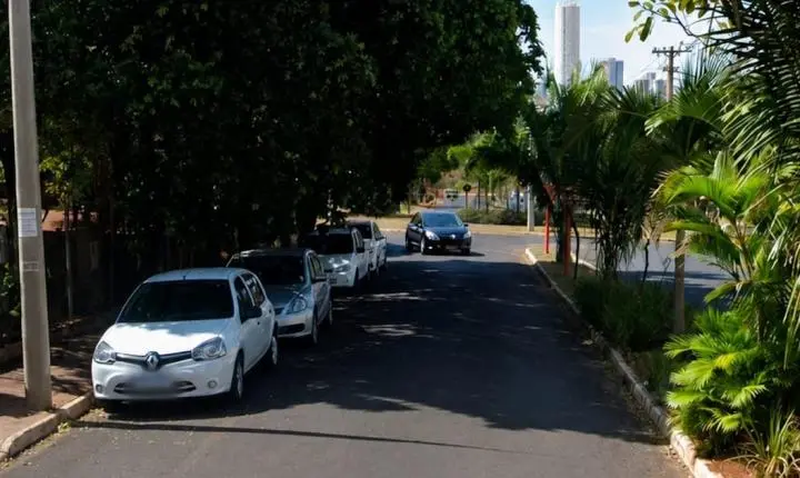 Vereador apresenta indicação para poda de árvores em via do Jardim Residencial Paraíso