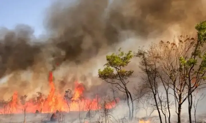 Indicações parlamentares sugerem central de monitoramento ambiental e projeto de prevenção de incêndios