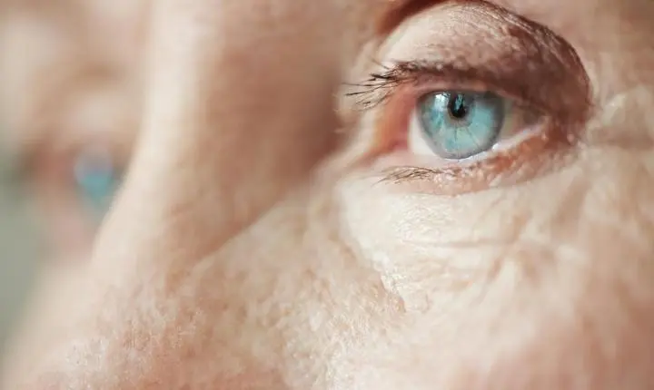 INTELIGÊNCIA ARTIFICIAL PODE IDENTIFICAR QUADROS DE GLAUCOMA