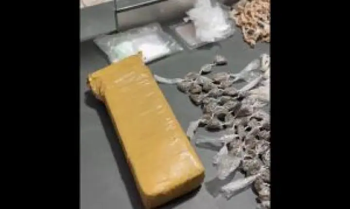 Jovem é detido por tráfico de drogas com vasta apreensão em Descalvado
