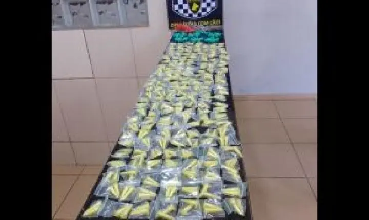 K9 Índia auxilia em apreensão de drogas no Jacobucci