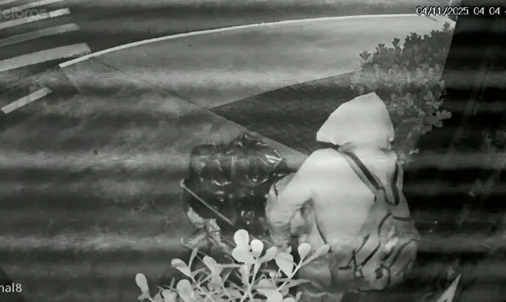 Ladrão de padaria é preso com carrinho de compras em Araraquara