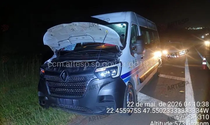 Capivara morre atropelada na Rodovia Washington Luís em Santa Gertrudes
