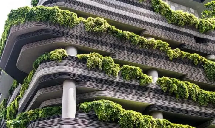 Mercado de alto padrão: luxo e sustentabilidade
