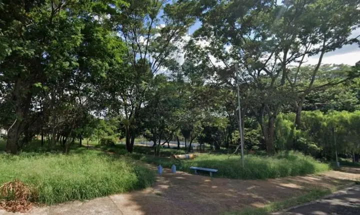 Moradores dos Bosques Maçônico e Rotário clamam por roçagem e soluções contra o descarte irregular