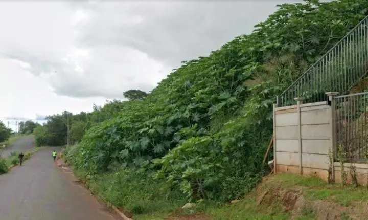 Moradores do Jardim Paraíso solicitam serviços essenciais em área próxima a condomínio