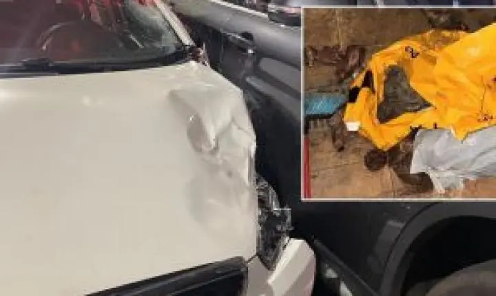Alandelon Oliveira da Silva, motorista em perseguição policial fatal, tinha histórico de prisão por receptação