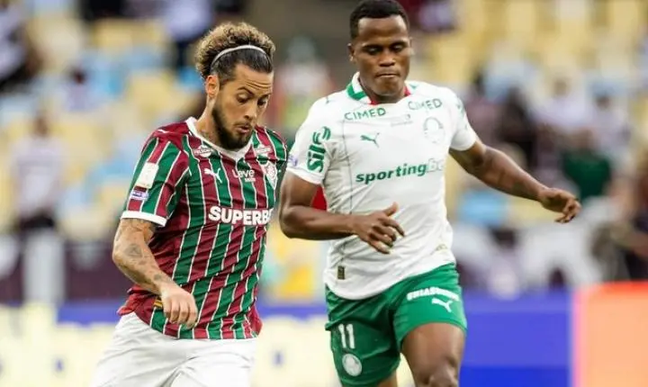 Ministério público libera ingressos para o Palmeiras enfrentar o Fluminense