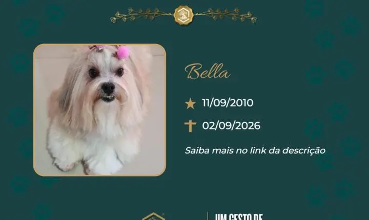 O Grupo Sinsef se despede da Bella
