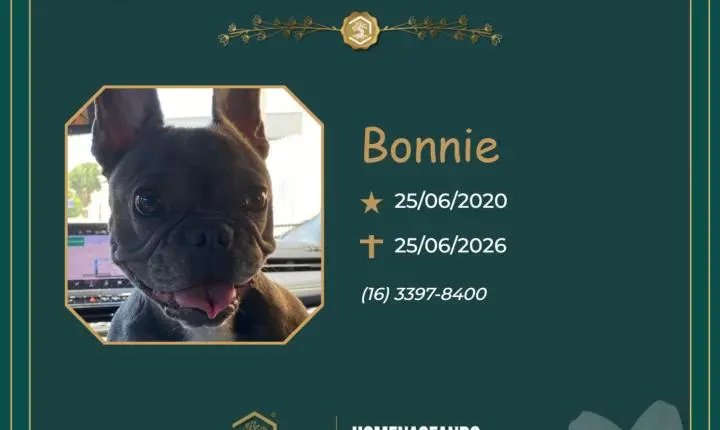 O Grupo Sinsef se despede da Bonnie