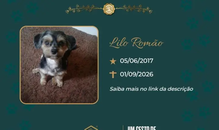 O Grupo Sinsef se despede da Lilo Romão