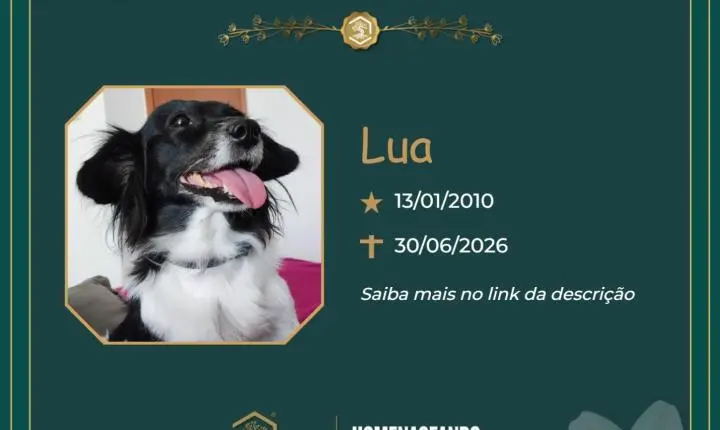 O Grupo Sinsef se despede da Lua