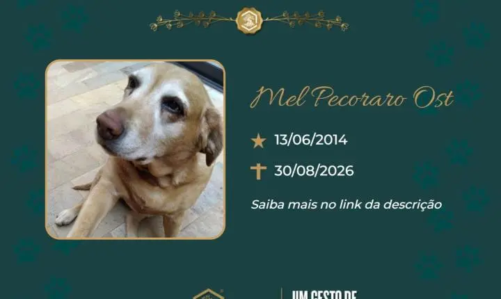 O Grupo Sinsef se despede da Mel Pecoraro
