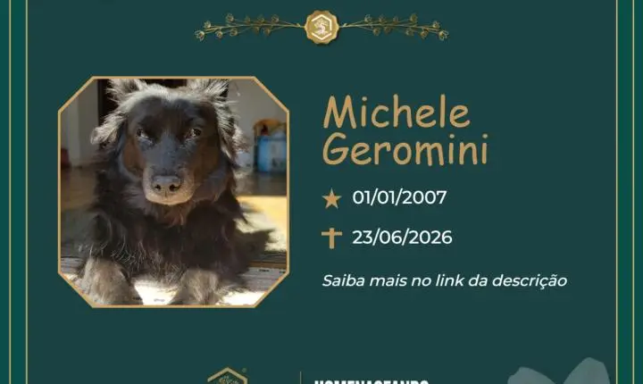 O Grupo Sinsef se despede da Michele