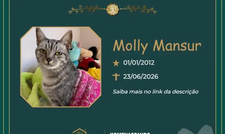 O Grupo Sinsef se despede da Moly