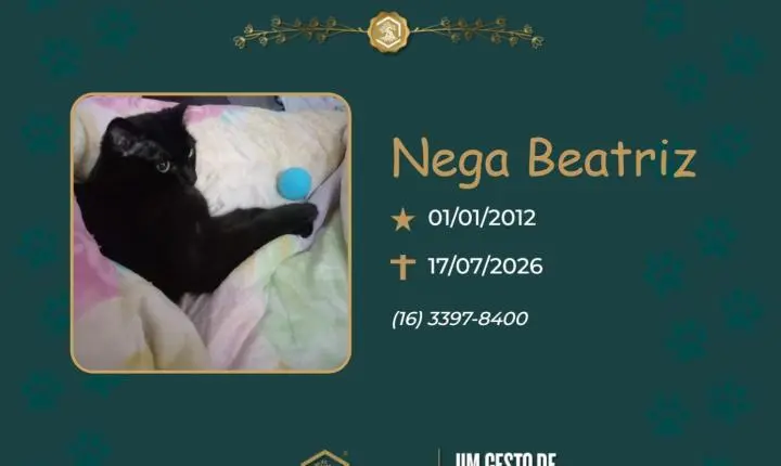 O Grupo Sinsef se despede da Nega Beatriz 