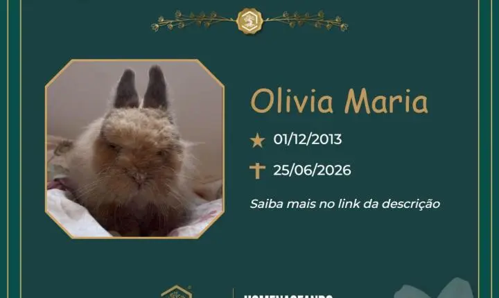 O Grupo Sinsef se despede da Olivia Maria