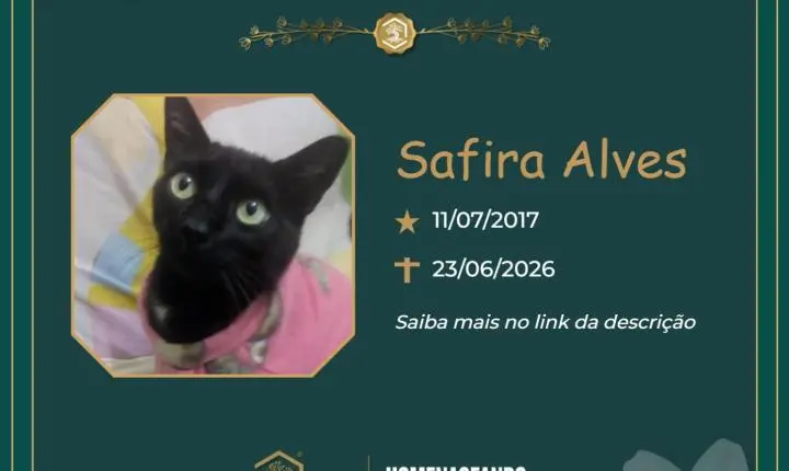 O Grupo Sinsef se despede da Safira