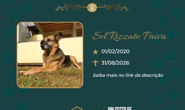 O Grupo Sinsef se despede da Sol