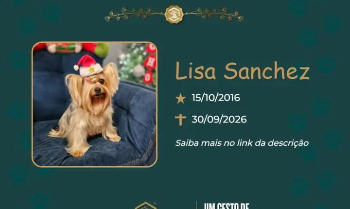 O Grupo Sinsef se despede de Lisa Sanchez