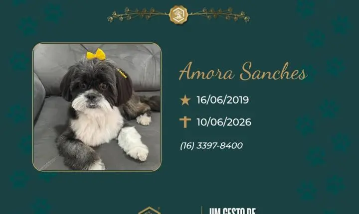 O Grupo Sinsef se despede de Amora Sanches 