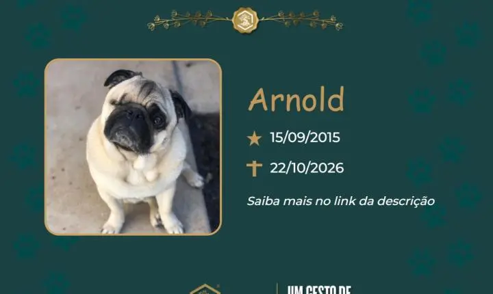 O Grupo Sinsef se despede de Arnold