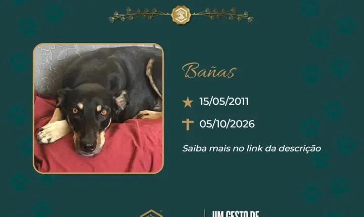 O Grupo Sinsef se despede de Bañas