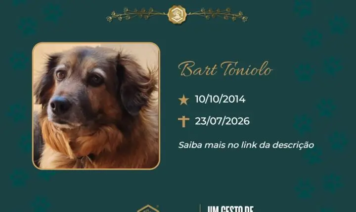 O Grupo Sinsef se despede de Bart Toniolo
