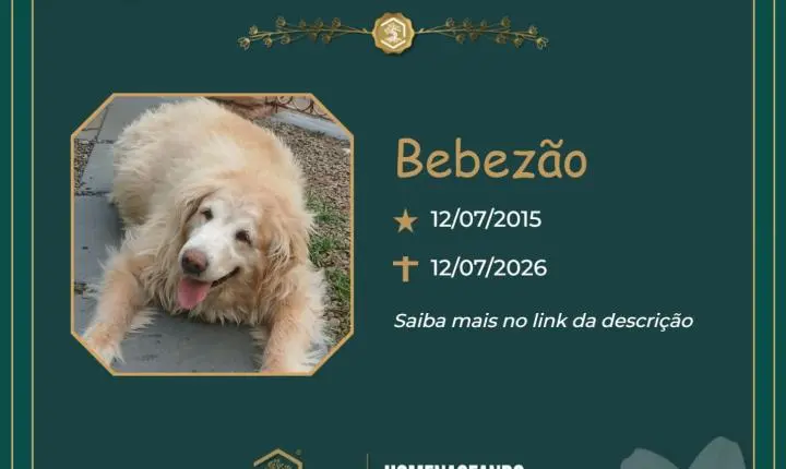 O Grupo Sinsef se despede de Bebezão