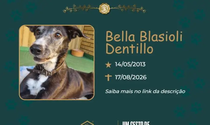 O Grupo Sinsef se despede de Bella Blasioli Dentillo