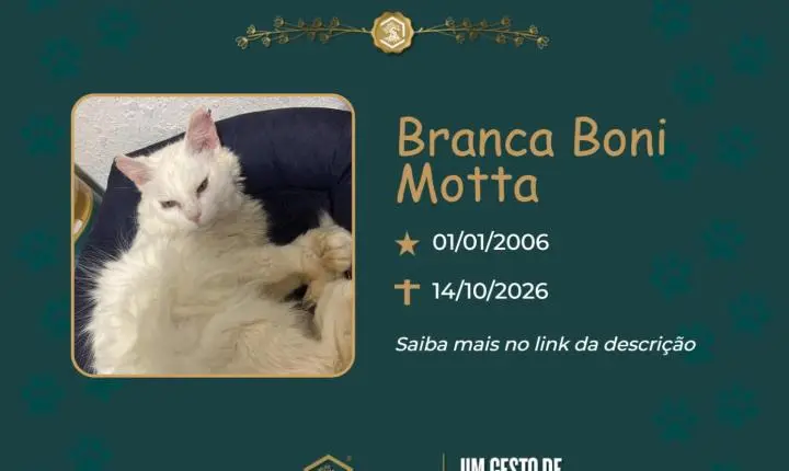 O Grupo Sinsef se despede de Branca