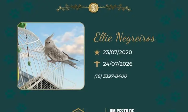 O Grupo Sinsef se despede de Ellie Negreiros