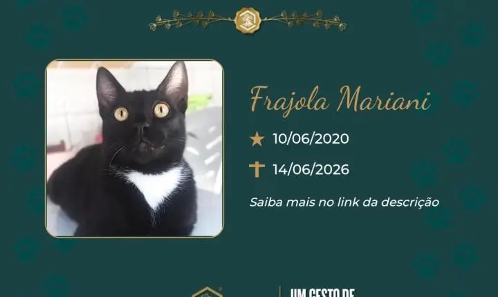 O Grupo Sinsef se despede de Frajola Mariani 