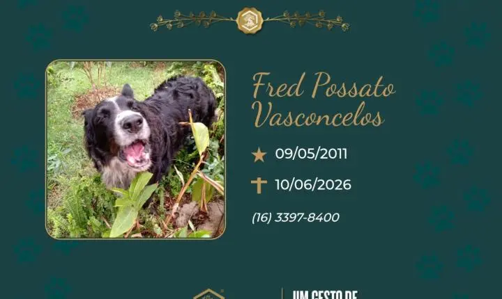 O Grupo Sinsef se despede de Fred Possato Vasconcelos 