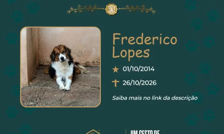 O Grupo Sinsef se despede de Frederico