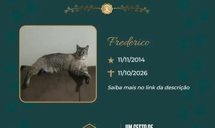 O Grupo Sinsef se despede de Frederico