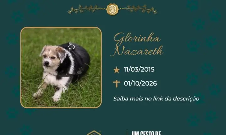 O Grupo Sinsef se despede de Glorinha Nazareth