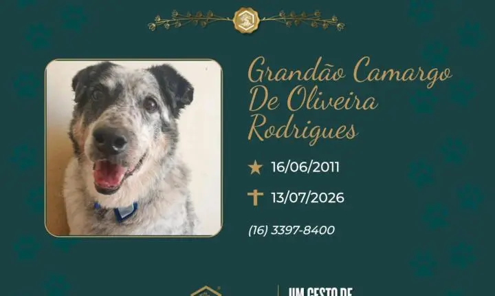 O Grupo Sinsef se despede de Grandão Camargo de Oliveira Rodrigues 