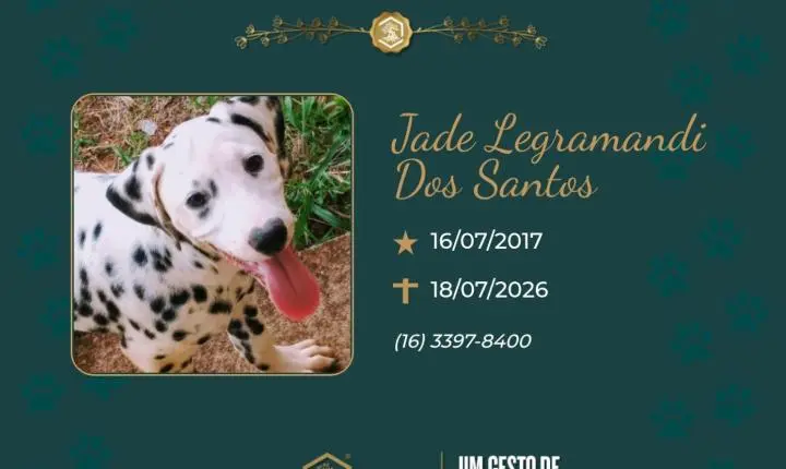 O Grupo Sinsef se despede de Jade Legramandi dos Santos 
