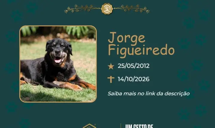 O Grupo Sinsef se despede de Jorge Figueiredo
