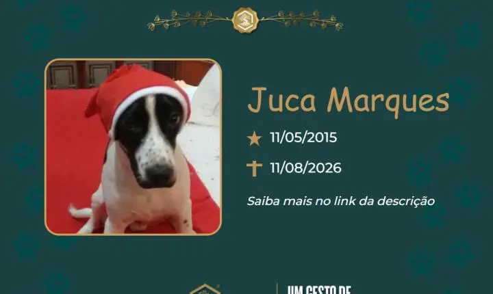o Grupo Sinsef se despede de Juca Marques