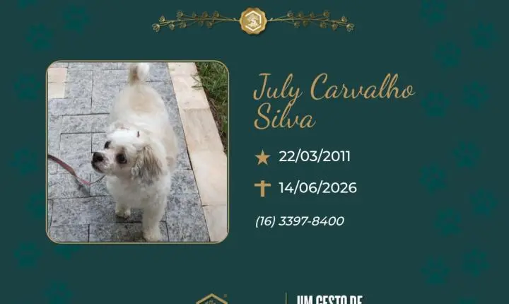O Grupo Sinsef se despede de Julie Carvalho Silva 