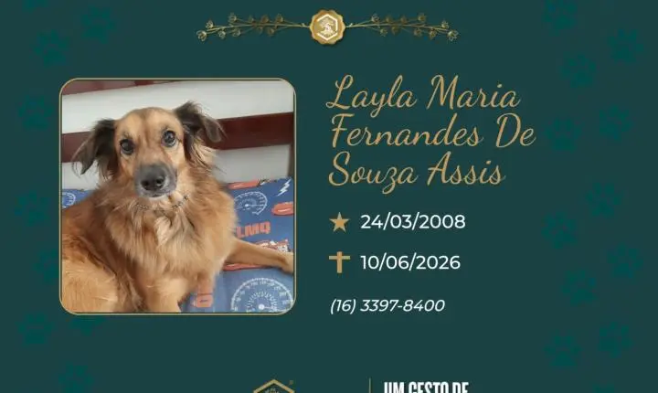O Grupo Sinsef se despede de Layla Maria Fernandes de Souza Assis
