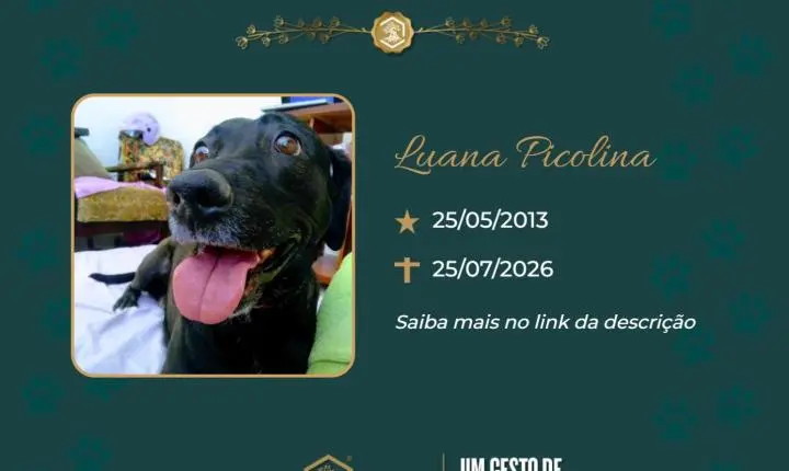 O Grupo Sinsef se despede de Luana Picolina