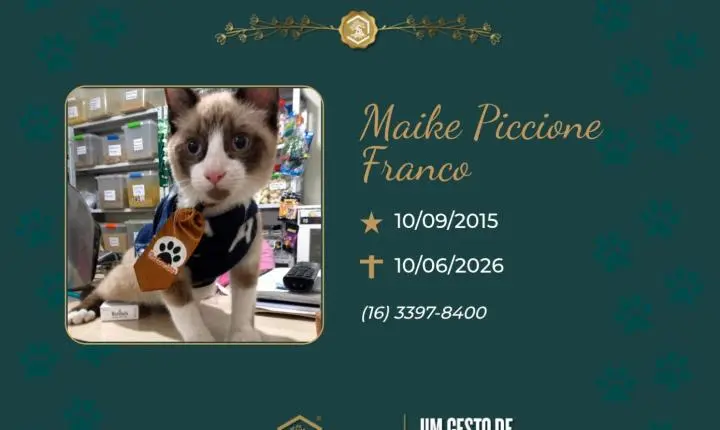 O Grupo Sinsef se despede de Maike Piccione Franco 