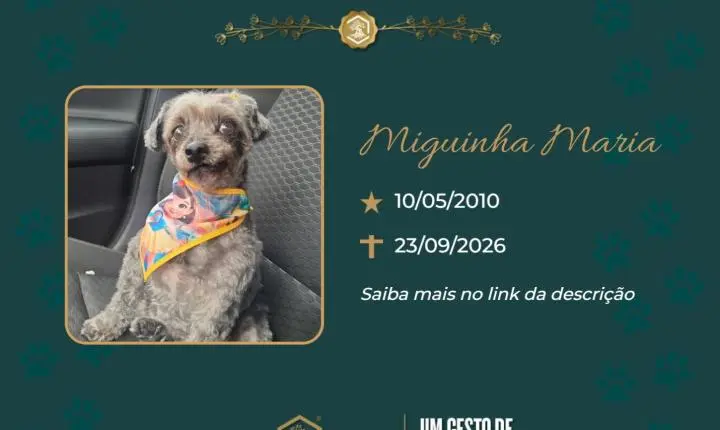 O Grupo Sinsef se despede de Miguinha Maria