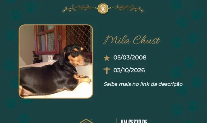 O Grupo Sinsef se despede de Mila chust