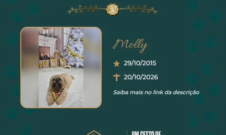 O Grupo Sinsef se despede de Molly
