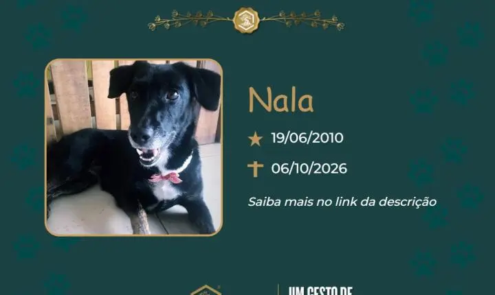 O Grupo Sinsef se despede de Nala 