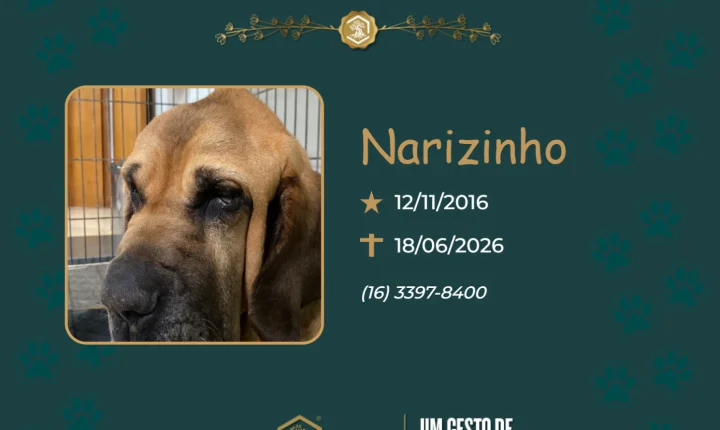 O Grupo Sinsef se despede de Narizinho